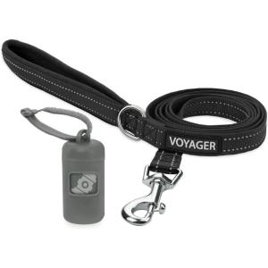 imageVoyager Reflective Dog Leash with Neoprene Handle 5 FT and Reusable Plastic Dispenser Poop Bag Holder Set for Walking and Outdoor Use Soft and Durable with ClipOn  Purple Purple DispenserLeash Dispenser Set Gray
