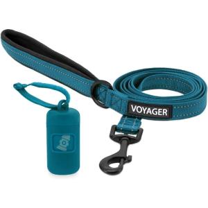 imageVoyager Reflective Dog Leash with Neoprene Handle 5 FT and Reusable Plastic Dispenser Poop Bag Holder Set for Walking and Outdoor Use Soft and Durable with ClipOn  Purple Purple DispenserLeash Dispenser Set Turquoise