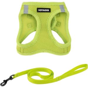 imageVoyager Stepin Air Cat Leash Harness Set  All Weather Mesh Step in Vest Harness for Small and Large Cats by Best Pet Supplies  Pink XXS Chest 12135quotLime Green