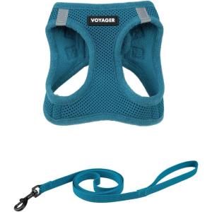 imageVoyager Stepin Air Cat Leash Harness Set  All Weather Mesh Step in Vest Harness for Small and Large Cats by Best Pet Supplies  Pink XXS Chest 12135quotTurquoise