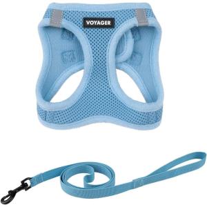 imageVoyager Stepin Air Cat Leash Harness Set  All Weather Mesh Step in Vest Harness for Small and Large Cats by Best Pet Supplies  Pink XXS Chest 12135quotBaby Blue