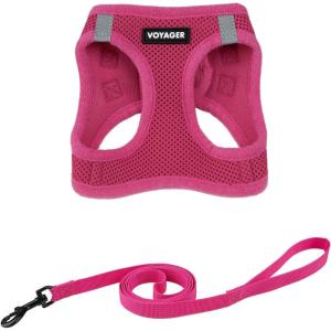 imageVoyager Stepin Air Cat Leash Harness Set  All Weather Mesh Step in Vest Harness for Small and Large Cats by Best Pet Supplies  Pink XXS Chest 12135quotFuchsia