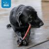 imageGigaBite 6 Inch Bully Sticks 20 Pack  All Natural Free Range Beef Pizzle Dog Treat  by Best Pet Supplies15 Count Pack of 1