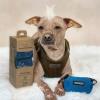 imageBest Pet Supplies Poop Bags for Dogs 50 PostConsumer Recycled Content dog waste bags on rolls fits all poop bag holders for leashes  150 Count Assorted Colors ScentedRoyal Blue