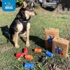 imageBest Pet Supplies Poop Bags for Dogs 50 PostConsumer Recycled Content dog waste bags on rolls fits all poop bag holders for leashes  150 Count Assorted Colors ScentedBlue Strips