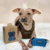 imageBest Pet Supplies Poop Bags for Dogs 50 PostConsumer Recycled Content dog waste bags on rolls fits all poop bag holders for leashes  150 Count Assorted Colors ScentedLoyal Blue