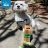 imageBest Pet Supplies Poop Bags for Dogs 50 PostConsumer Recycled Content dog waste bags on rolls fits all poop bag holders for leashes  150 Count Assorted Colors ScentedGreen Unscented