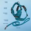 imageVoyager Stepin Lock Adjustable Cat Harness w Cat Leash Combo Set with Neoprene Handle 5ft  Supports Small Medium and Large Breed Cats by Best Pet Supplies  ArmyBlack Trim SHarness Leash Set Turquoise