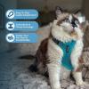 imageVoyager Stepin Lock Adjustable Cat Harness w Cat Leash Combo Set with Neoprene Handle 5ft  Supports Small Medium and Large Breed Cats by Best Pet Supplies  ArmyBlack Trim SHarness Leash Set Turquoise