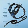 imageVoyager Stepin Lock Adjustable Cat Harness w Cat Leash Combo Set with Neoprene Handle 5ft  Supports Small Medium and Large Breed Cats by Best Pet Supplies  ArmyBlack Trim SBlack TrimRoyal Blue 327