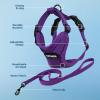 imageVoyager Stepin Lock Adjustable Cat Harness w Cat Leash Combo Set with Neoprene Handle 5ft  Supports Small Medium and Large Breed Cats by Best Pet Supplies  ArmyBlack Trim SHarness Leash Set Purple