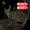 imageVoyager Escape Proof Cat Harness and Leash Set with Reflective Stitching Neoprene Handle 5ft  Supports Small Medium and Large Cats Kittens for Walking by Best Pet Supplies  Black XXSBlack TrimTurquoise 327