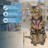 imageVoyager Escape Proof Cat Harness and Leash Set with Reflective Stitching Neoprene Handle 5ft  Supports Small Medium and Large Cats Kittens for Walking by Best Pet Supplies  Black XXSBlack TrimPink 327