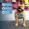 imageBest Pet Supplies Voyager Adjustable Dog Vest Harness Breathable No Pull Harness for Small Medium Large Dogs Harness for Walking Jogging Easy Stepin Reflective Stripes  Turquoise SHarness Baby Blue