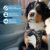 imageBest Pet Supplies Voyager Adjustable Dog Vest Harness Breathable No Pull Harness for Small Medium Large Dogs Harness for Walking Jogging Easy Stepin Reflective Stripes  Turquoise SHarness ArmyBlack Trim