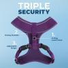 imageBest Pet Supplies Voyager Adjustable Dog Vest Harness Breathable No Pull Harness for Small Medium Large Dogs Harness for Walking Jogging Easy Stepin Reflective Stripes  Turquoise S220 Style Purple