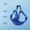 imageBest Pet Supplies Voyager Adjustable Dog Vest Harness Breathable No Pull Harness for Small Medium Large Dogs Harness for Walking Jogging Easy Stepin Reflective Stripes  Turquoise SHarness Royal Blue