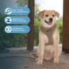 imageBest Pet Supplies Voyager Adjustable Dog Vest Harness Breathable No Pull Harness for Small Medium Large Dogs Harness for Walking Jogging Easy Stepin Reflective Stripes  Turquoise S220 Style Beige