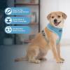 imageBest Pet Supplies Voyager Adjustable Dog Vest Harness Breathable No Pull Harness for Small Medium Large Dogs Harness for Walking Jogging Easy Stepin Reflective Stripes  Turquoise S220 Style Blue