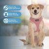 imageBest Pet Supplies Voyager Adjustable Dog Vest Harness Breathable No Pull Harness for Small Medium Large Dogs Harness for Walking Jogging Easy Stepin Reflective Stripes  Turquoise S220 Style Pink