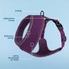 imageBest Pet Supplies Voyager Adjustable Dog Vest Harness Breathable No Pull Harness for Small Medium Large Dogs Harness for Walking Jogging Easy Stepin Reflective Stripes  Turquoise S220 Style Purple