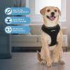 imageBest Pet Supplies Voyager Adjustable Dog Vest Harness Breathable No Pull Harness for Small Medium Large Dogs Harness for Walking Jogging Easy Stepin Reflective Stripes  Turquoise S220 Style Black
