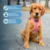 imageBest Pet Supplies Voyager Adjustable Dog Vest Harness Breathable No Pull Harness for Small Medium Large Dogs Harness for Walking Jogging Easy Stepin Reflective Stripes  Turquoise SHarness Leash Set Pink