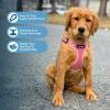 imageBest Pet Supplies Voyager Adjustable Dog Vest Harness Breathable No Pull Harness for Small Medium Large Dogs Harness for Walking Jogging Easy Stepin Reflective Stripes  Turquoise SHarness Pink