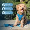 imageBest Pet Supplies Voyager Adjustable Dog Vest Harness Breathable No Pull Harness for Small Medium Large Dogs Harness for Walking Jogging Easy Stepin Reflective Stripes  Turquoise SHarness Turquoise