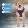 imageBest Pet Supplies Voyager Adjustable Dog Vest Harness Breathable No Pull Harness for Small Medium Large Dogs Harness for Walking Jogging Easy Stepin Reflective Stripes  Turquoise S220 Style Purple