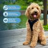 imageBest Pet Supplies Voyager Adjustable Dog Vest Harness Breathable No Pull Harness for Small Medium Large Dogs Harness for Walking Jogging Easy Stepin Reflective Stripes  Turquoise SHarness Black