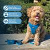 imageBest Pet Supplies Voyager Adjustable Dog Vest Harness Breathable No Pull Harness for Small Medium Large Dogs Harness for Walking Jogging Easy Stepin Reflective Stripes  Turquoise SHarness Leash Set Turquoise