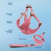 imageBest Pet Supplies Voyager Adjustable Dog Vest Harness Breathable No Pull Harness for Small Medium Large Dogs Harness for Walking Jogging Easy Stepin Reflective Stripes  Turquoise SHarness Leash Set Pink