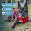 imageBest Pet Supplies Voyager Adjustable Dog Vest Harness Breathable No Pull Harness for Small Medium Large Dogs Harness for Walking Jogging Easy Stepin Reflective Stripes  Turquoise SHarness Leash Set Red