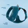 imageBest Pet Supplies Voyager Adjustable Dog Vest Harness Breathable No Pull Harness for Small Medium Large Dogs Harness for Walking Jogging Easy Stepin Reflective Stripes  Turquoise S220 Style Turquoise