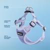 imageBest Pet Supplies Voyager Adjustable Dog Vest Harness Breathable No Pull Harness for Small Medium Large Dogs Harness for Walking Jogging Easy Stepin Reflective Stripes  Turquoise SHarness Lavender