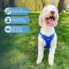 imageBest Pet Supplies Voyager Adjustable Dog Vest Harness Breathable No Pull Harness for Small Medium Large Dogs Harness for Walking Jogging Easy Stepin Reflective Stripes  Turquoise SHarness Royal Blue