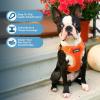 imageBest Pet Supplies Voyager Adjustable Dog Vest Harness Breathable No Pull Harness for Small Medium Large Dogs Harness for Walking Jogging Easy Stepin Reflective Stripes  Turquoise SHarness Leash Set Orange