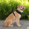 imageBest Pet Supplies Voyager Adjustable Dog Vest Harness Breathable No Pull Harness for Small Medium Large Dogs Harness for Walking Jogging Easy Stepin Reflective Stripes  Turquoise S220 Style Black