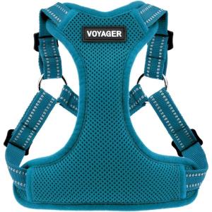 imageBest Pet Supplies Voyager Adjustable Dog Vest Harness Breathable No Pull Harness for Small Medium Large Dogs Harness for Walking Jogging Easy Stepin Reflective Stripes  Turquoise SHarness Turquoise