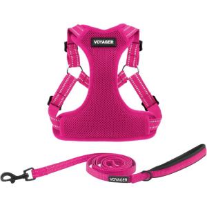 imageBest Pet Supplies Voyager Adjustable Dog Vest Harness Breathable No Pull Harness for Small Medium Large Dogs Harness for Walking Jogging Easy Stepin Reflective Stripes  Turquoise SHarness Leash Set Fuchsia