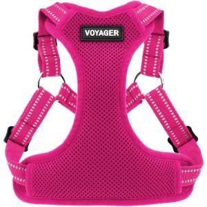 imageBest Pet Supplies Voyager Adjustable Dog Vest Harness Breathable No Pull Harness for Small Medium Large Dogs Harness for Walking Jogging Easy Stepin Reflective Stripes  Turquoise SHarness Fuchsia