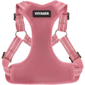imageBest Pet Supplies Voyager Adjustable Dog Vest Harness Breathable No Pull Harness for Small Medium Large Dogs Harness for Walking Jogging Easy Stepin Reflective Stripes  Turquoise SHarness Pink