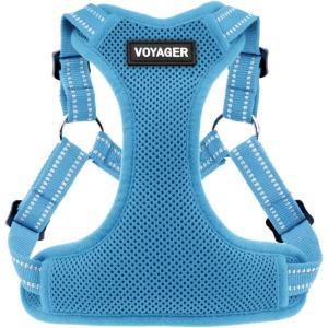 imageBest Pet Supplies Voyager Adjustable Dog Vest Harness Breathable No Pull Harness for Small Medium Large Dogs Harness for Walking Jogging Easy Stepin Reflective Stripes  Turquoise SHarness Baby Blue