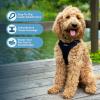 imageBest Pet Supplies Voyager Aerolite No Pull Mesh Dog Harness Reflective Stitching Breathable Harness Adjustable for Walking Training Running Heavy Duty and Durable Beige LHarness Leash Set Black