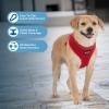 imageBest Pet Supplies Voyager Aerolite No Pull Mesh Dog Harness Reflective Stitching Breathable Harness Adjustable for Walking Training Running Heavy Duty and Durable Beige L220 Style Red