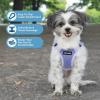 imageBest Pet Supplies Voyager Aerolite No Pull Mesh Dog Harness Reflective Stitching Breathable Harness Adjustable for Walking Training Running Heavy Duty and Durable Beige LHarness Lavender