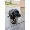 imageBest Pet Supplies GigaBite 6 Inch Beef Gullet Jerky Sticks 10 Pack  All Natural Free Range Beef Esophagus Stick Dog TreatEsophagus Sticks
