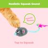 imageCatify Ultimate Cat Play Gift Set  Scratcher Ramp Sushi Roll Catnip Toys ampamp Squeaking Mice Toys