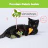 imageCatify Ultimate Cat Play Gift Set  Scratcher Ramp Sushi Roll Catnip Toys ampamp Squeaking Mice Toys